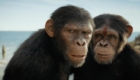 Kingdom of the Planet of the Apes Ending Spoilers