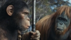 Kingdom of the Planet of the Apes Ending Spoilers